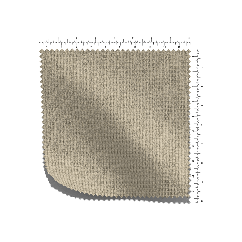 C ダブルワッフル